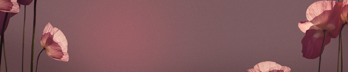 女装banner
