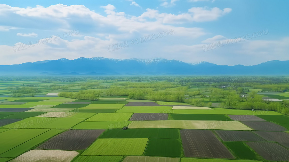 绿色清新蓝天下的农田俯视图