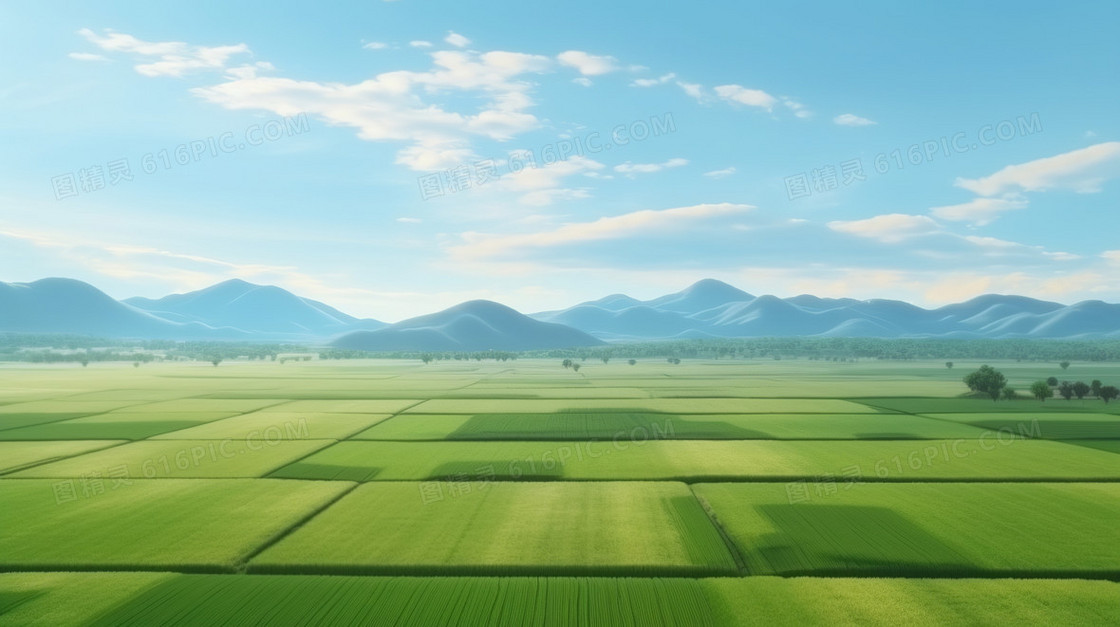 清新蓝天白云下整齐的农田俯视图