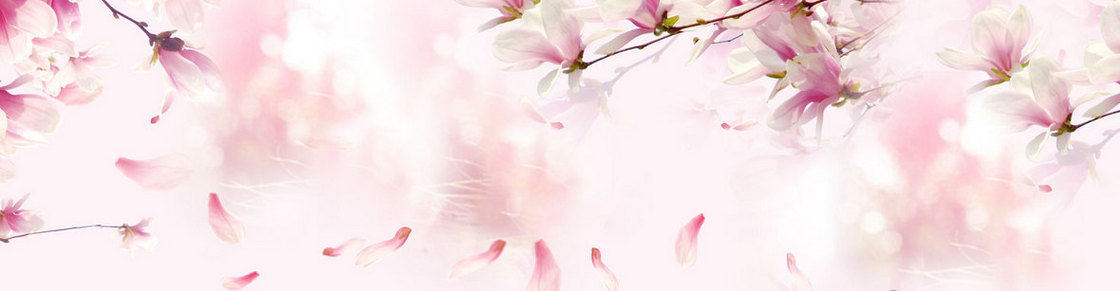 春夏女装banner