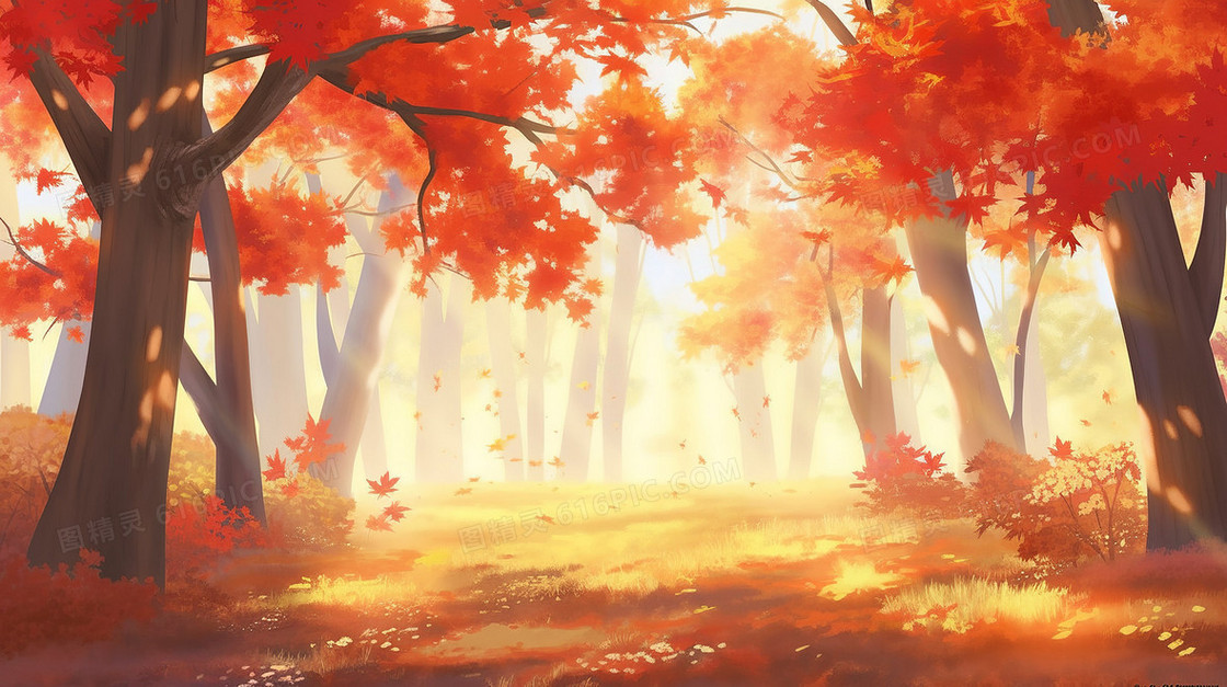 唯美的秋季梦幻枫树林