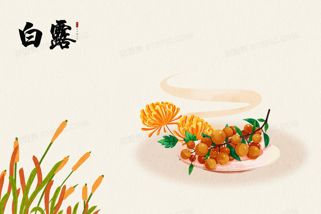 二十四节气组图之白露插画