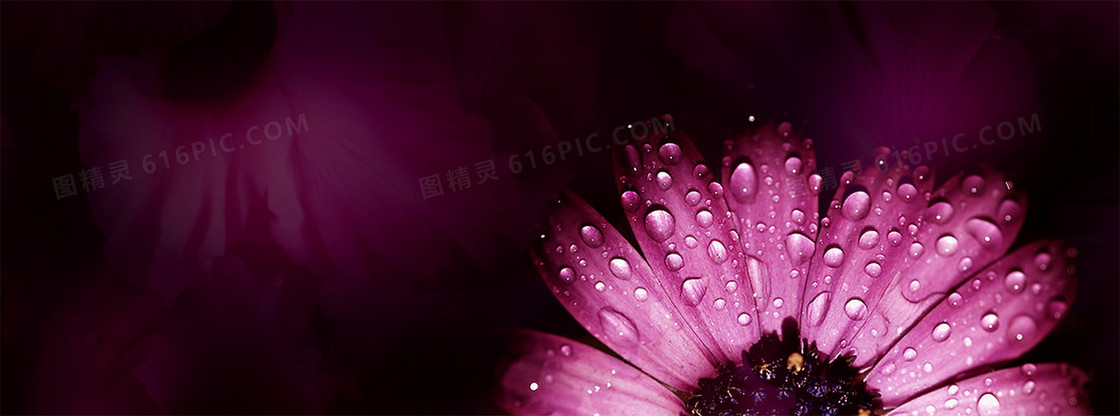 美容banner