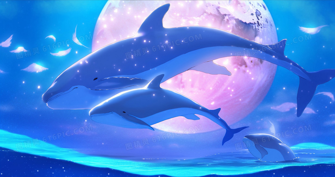 月夜下的可爱海豚创意插画