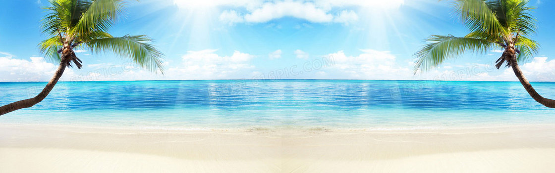夏天 椰树背景