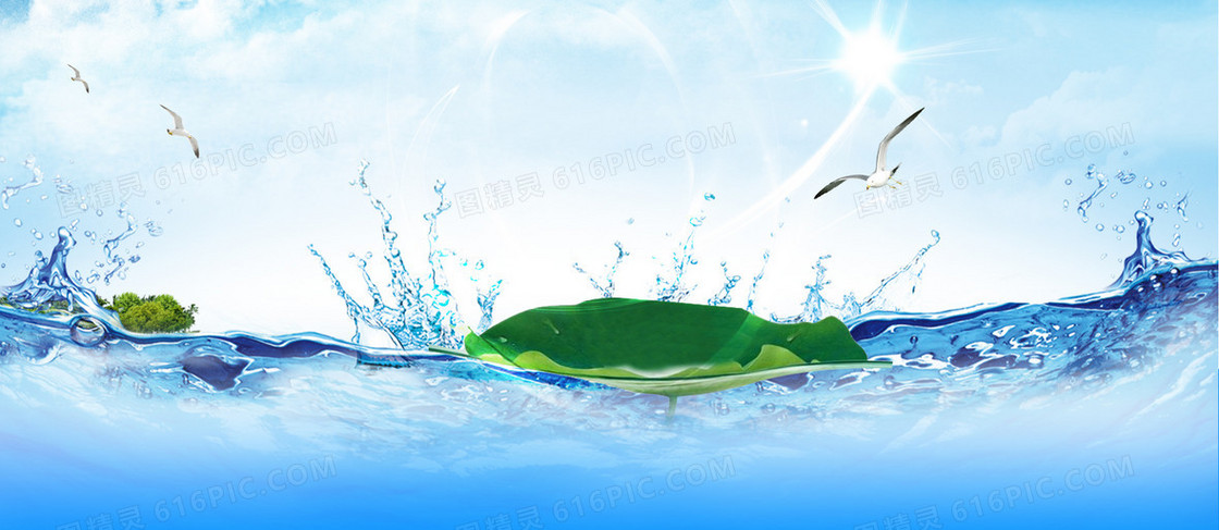 海鸥  水  荷叶背景banner