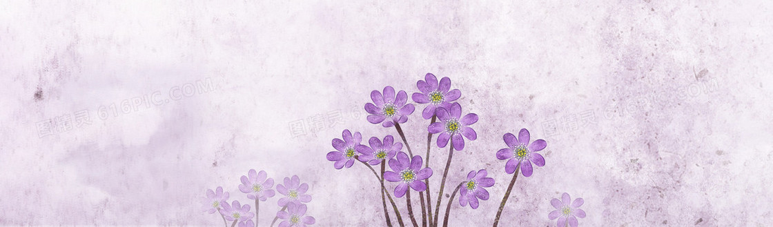 紫色花朵 背景 banner