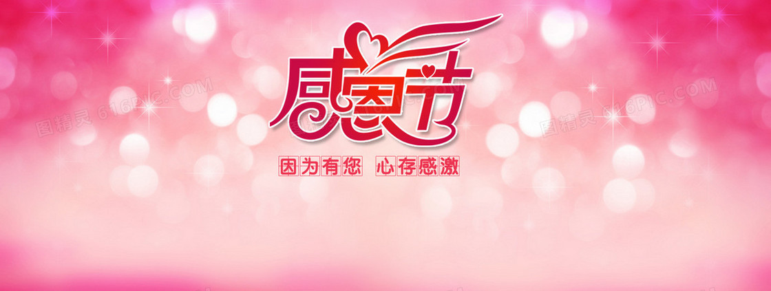 感恩节天猫banner