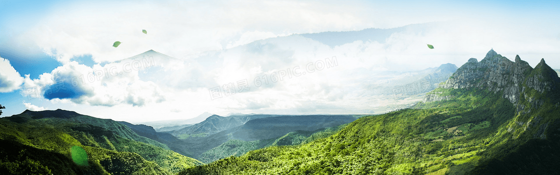清爽森林白云背景