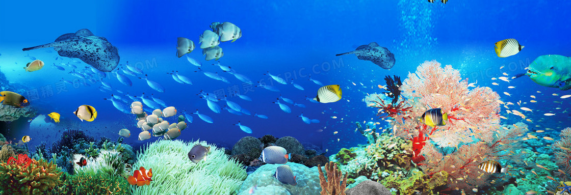 海底世界背景