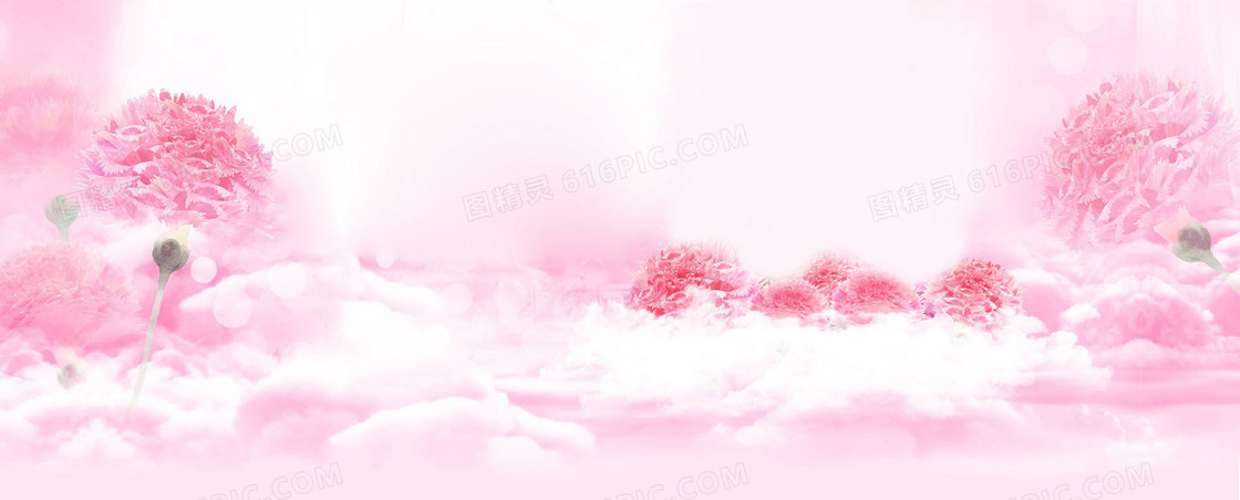 牡丹花海banner