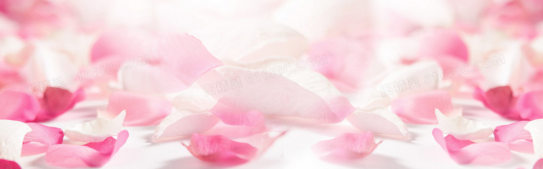 花瓣 banner