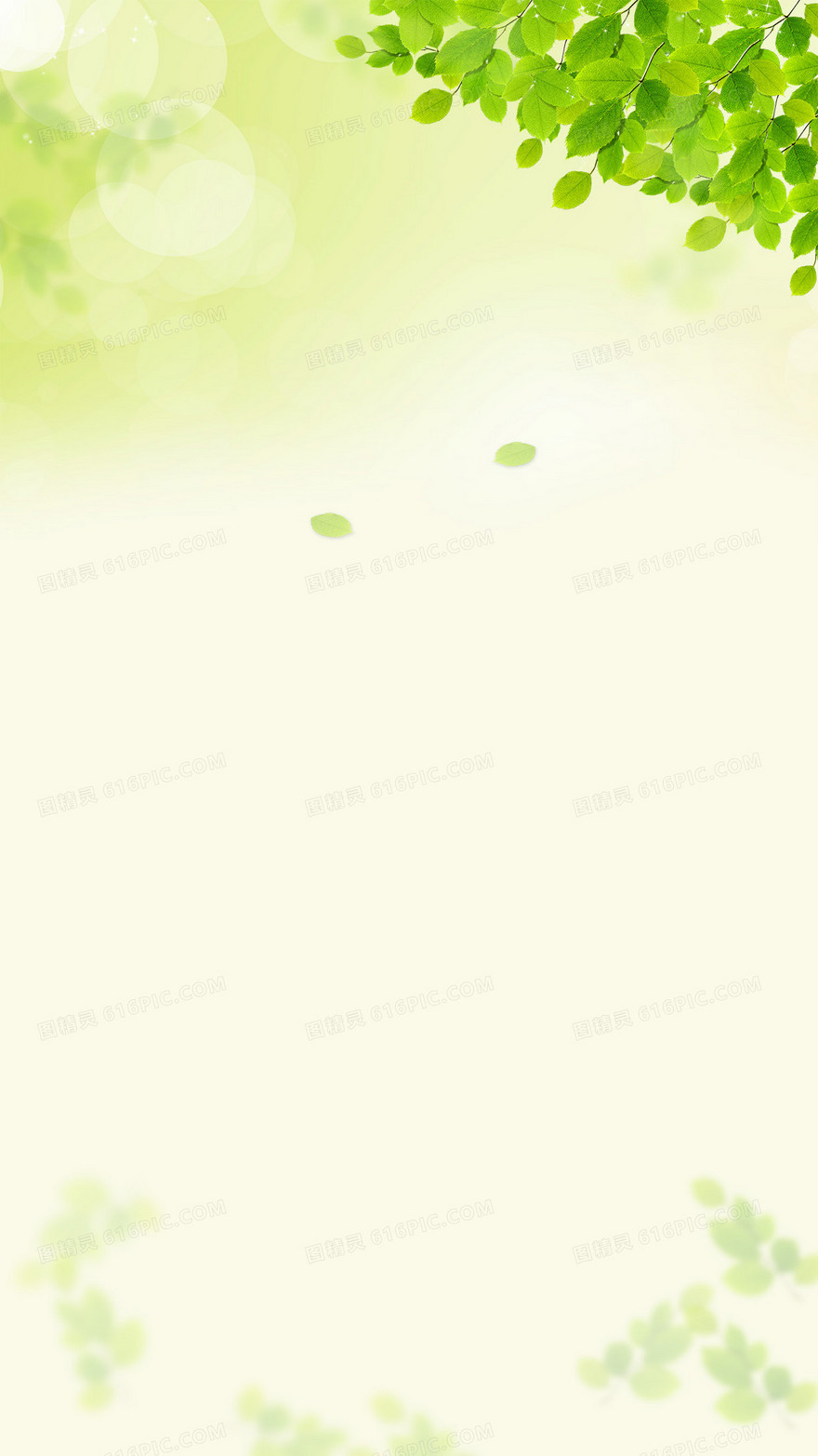 小清新春天绿叶H5背景