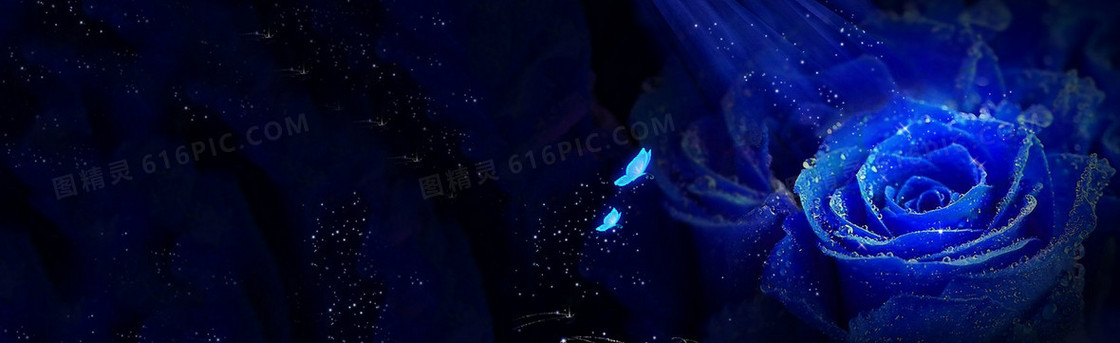 蓝色玫瑰梦幻星光背景banner