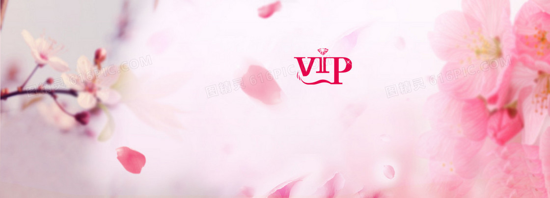 vip会员日背景banner