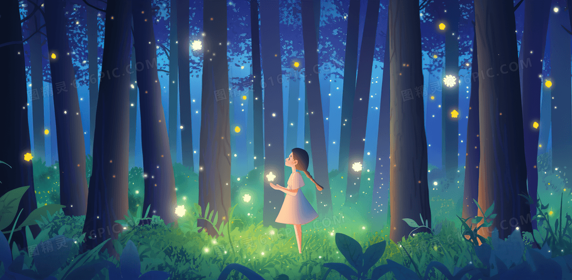 美丽的夜晚森林壁纸 夜晚壁纸|免费下载1,540图片|