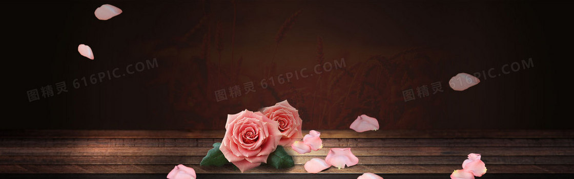 玫瑰棕色高档女装食品淘宝背景