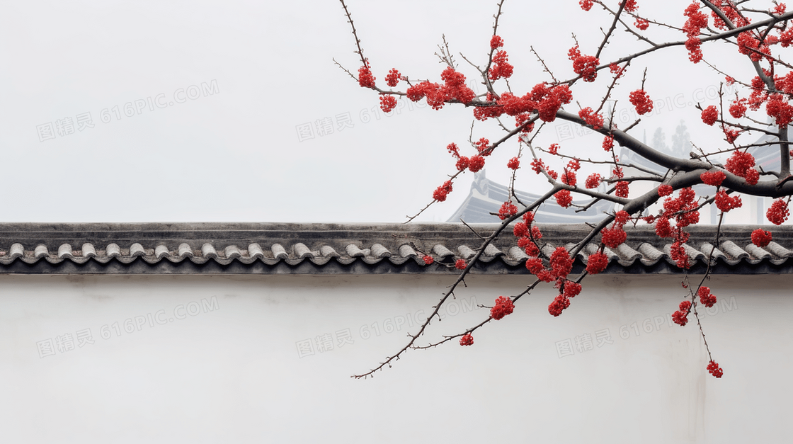 墙角上的一株梅花 