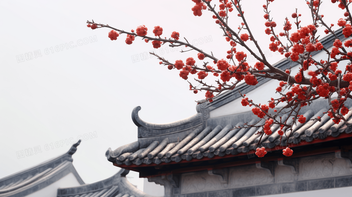 墙角上的一株梅花 