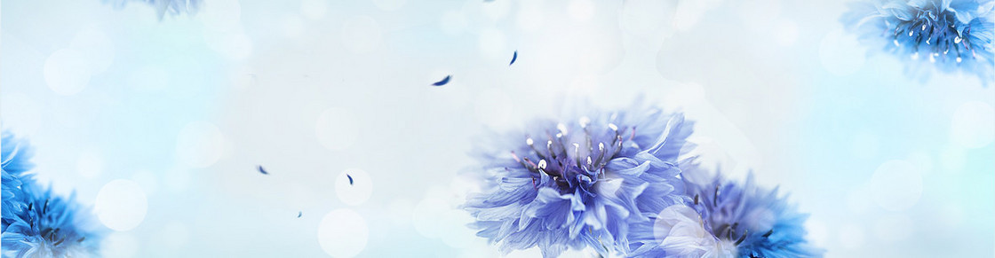 护肤蓝色花絮唯美背景banner