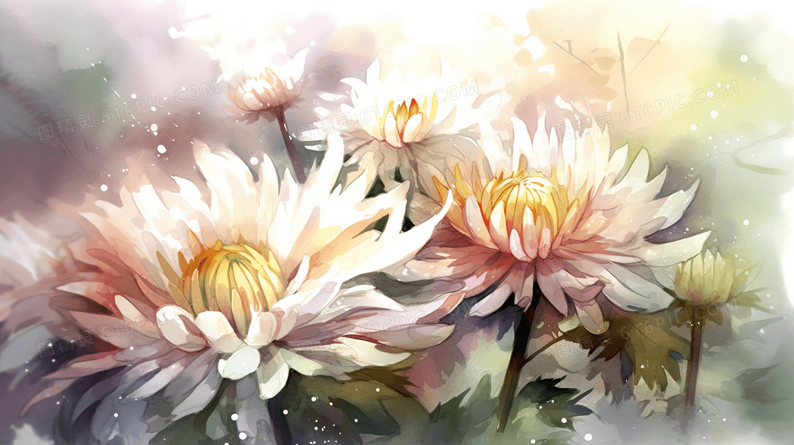 彩色唯美花瓣插画