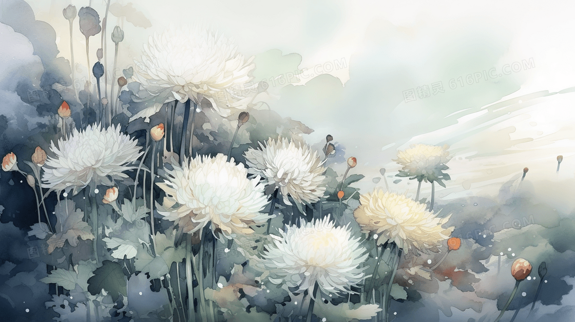 彩色唯美花瓣插画