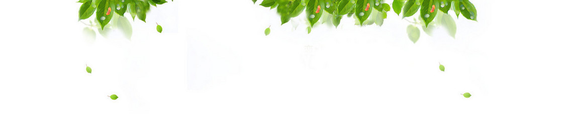 门户网站banner创意设计