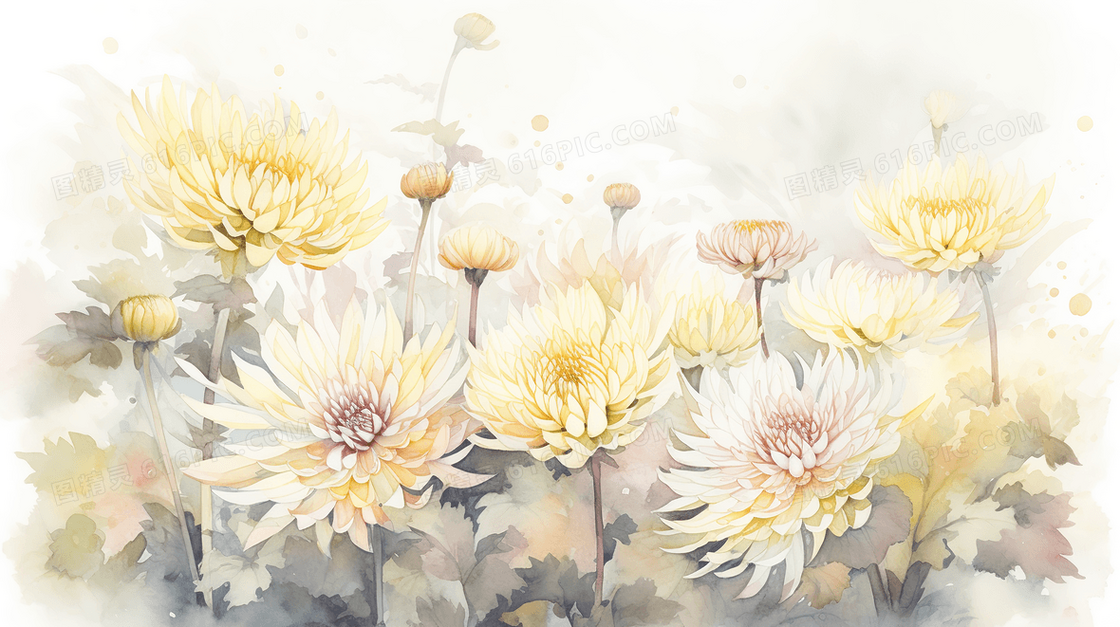 彩色唯美花瓣插画