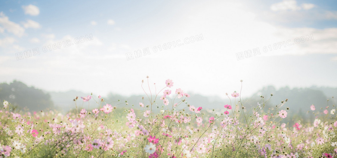 时尚小碎花粉色花朵简约背景图小清新图