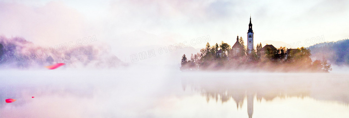  梦幻 树林背景