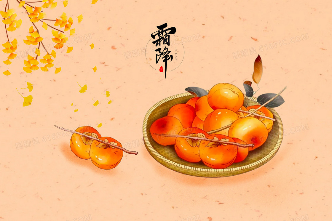 秋天银杏树下吃柿子插画