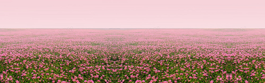 万花从中