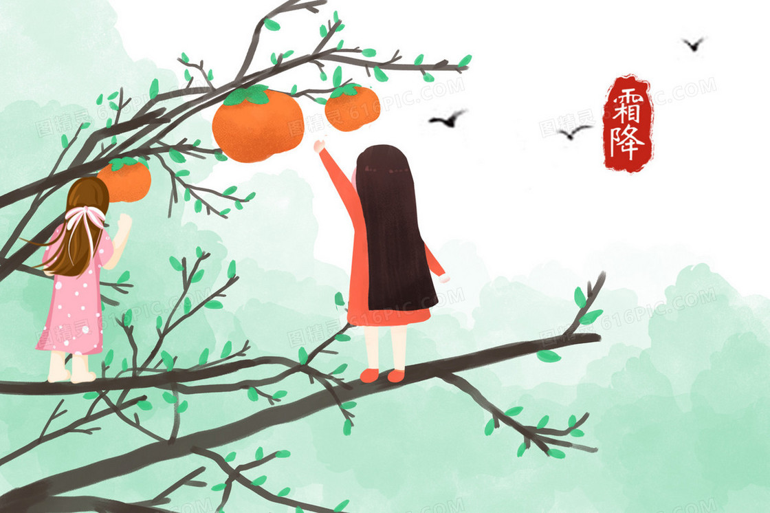 秋天霜降女孩们站在柿子树上摘柿子插画