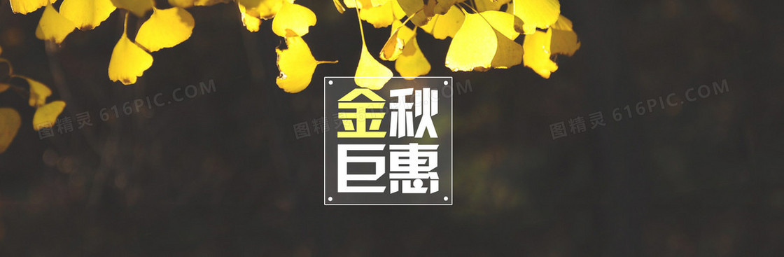 金秋钜惠上市淘宝banner壁纸