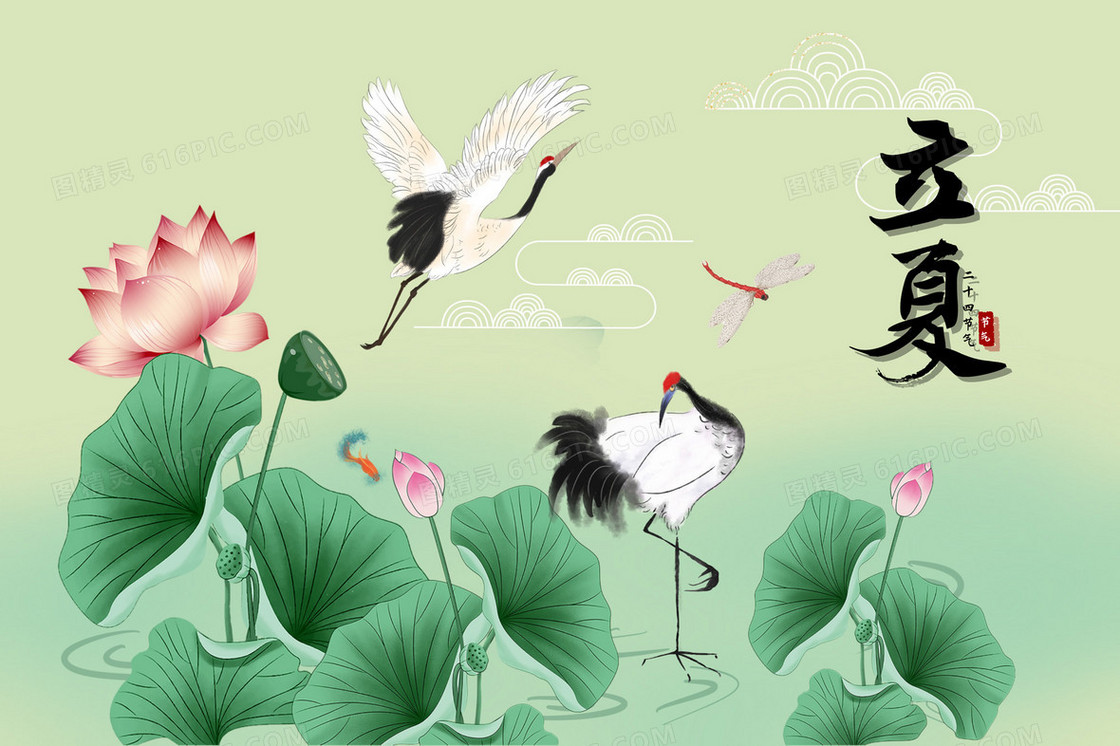 水墨风立夏节气白鹭在荷叶边飞翔插画