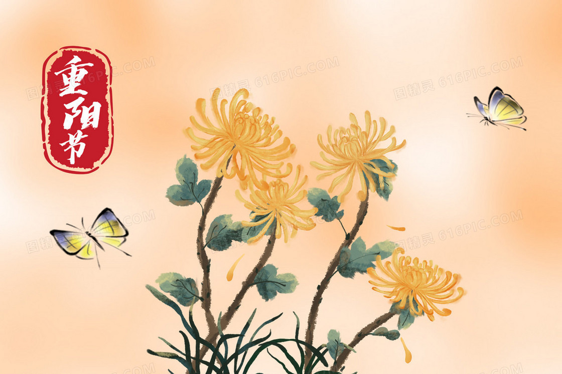 重阳节祭祖菊花蝴蝶插画