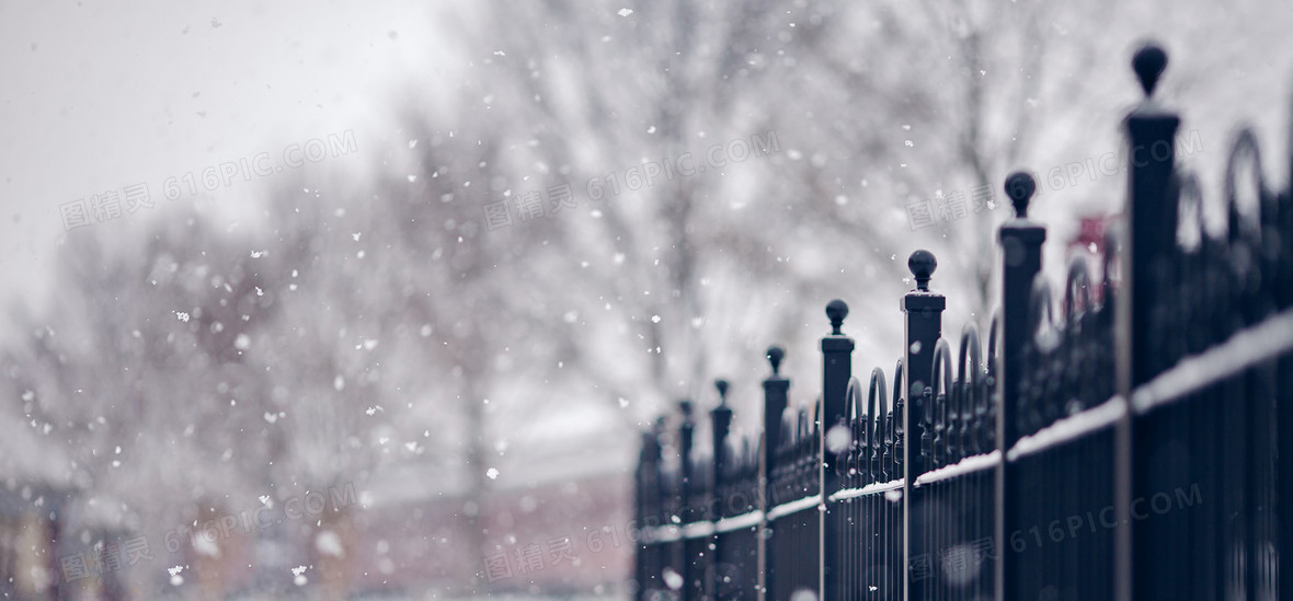 飄雪背景圖片下載_免費高清飄雪背景設計素材_圖精靈