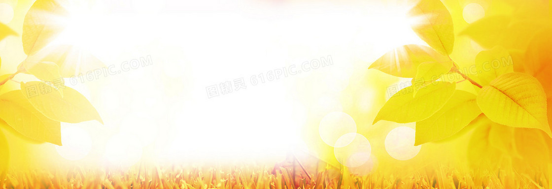 秋季上市淘宝banner广告