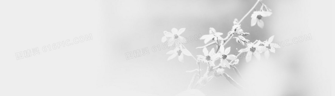 简约花朵背景