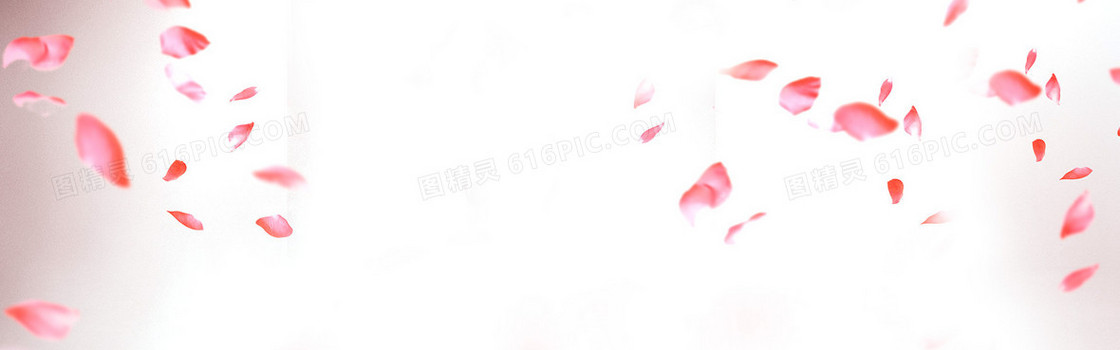 花瓣唯美背景banner