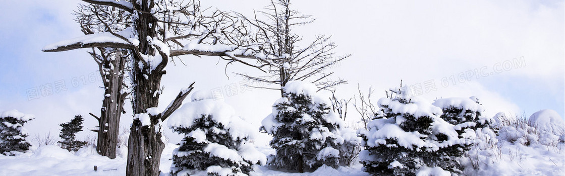 雪景背景