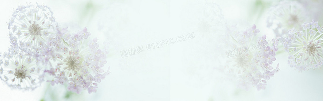 清新 浅色系列banner背景