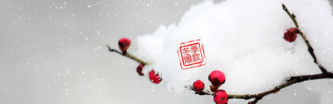 冬季淘宝女装羽绒服梅花雪景背景banner