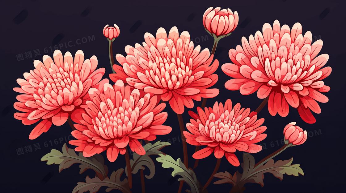 扁平菊花特写插画