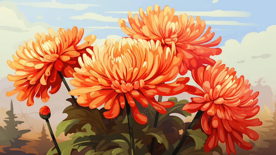 扁平菊花特写插画