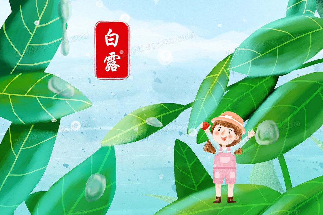 白露节气绿色植物露水插画