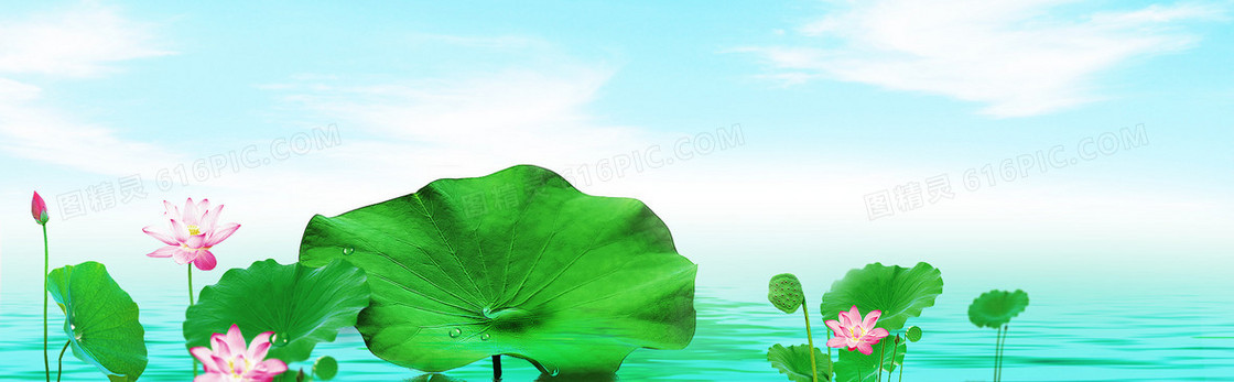 护肤品荷花清新背景banner