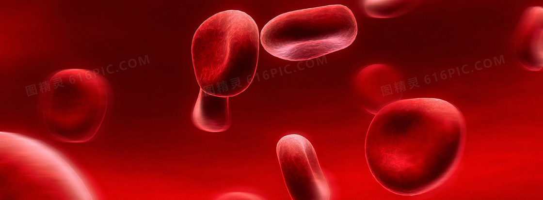 红细胞背景图