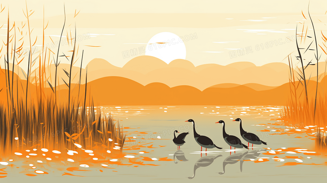 秋天霜降节气湖中戏水的野鸭芦苇丛风景插画