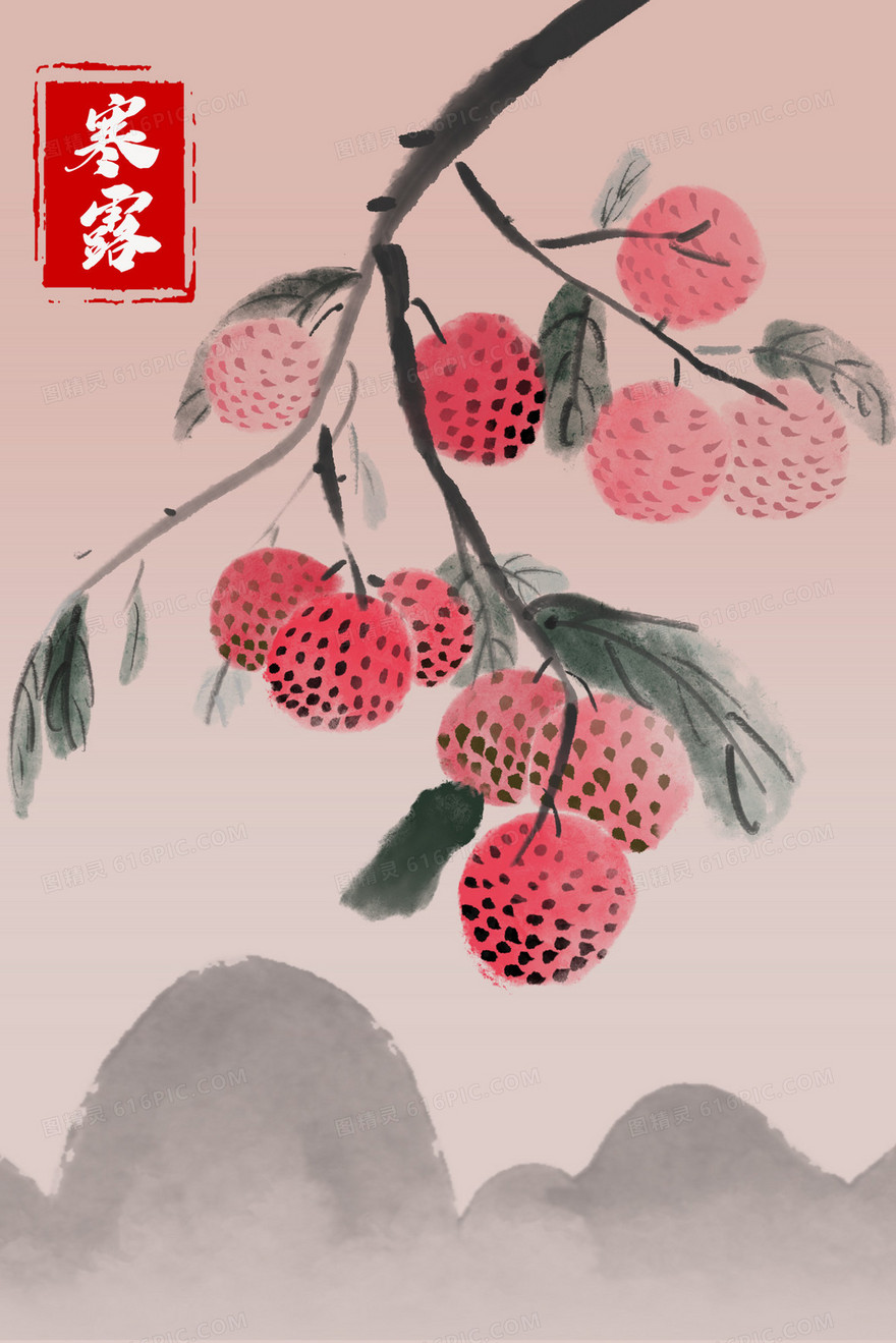 寒露节气荔枝水墨插画